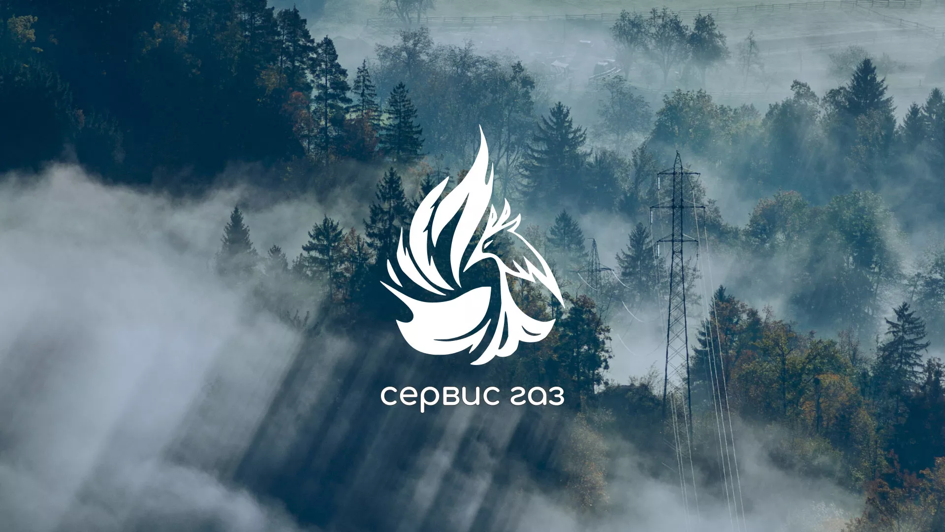 Создание сайта компании «Сервис газ» в Жуковском
