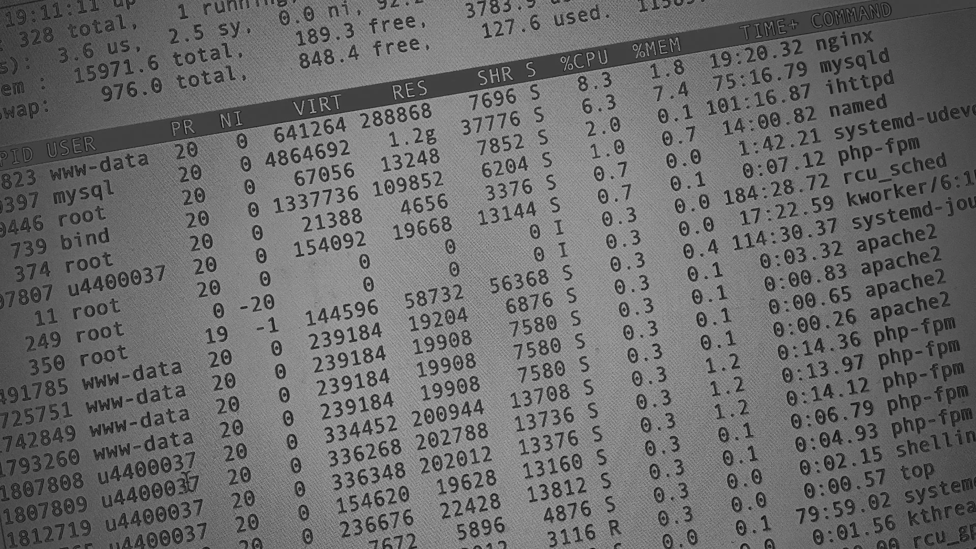 Настройка сервера в Жуковском Настройка сервера в Жуковском