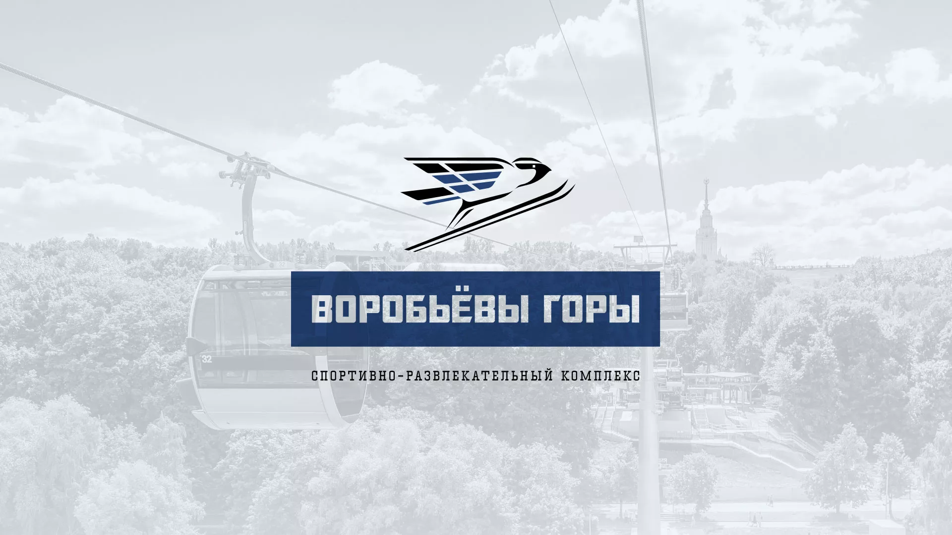 Разработка сайта в Жуковском для спортивно-развлекательного комплекса «Воробьёвы горы»
