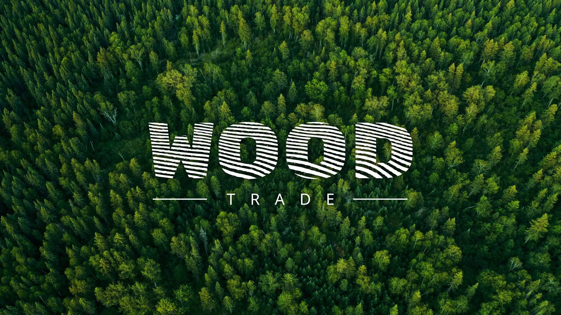 Разработка интернет-магазина компании «Wood Trade» в Жуковском