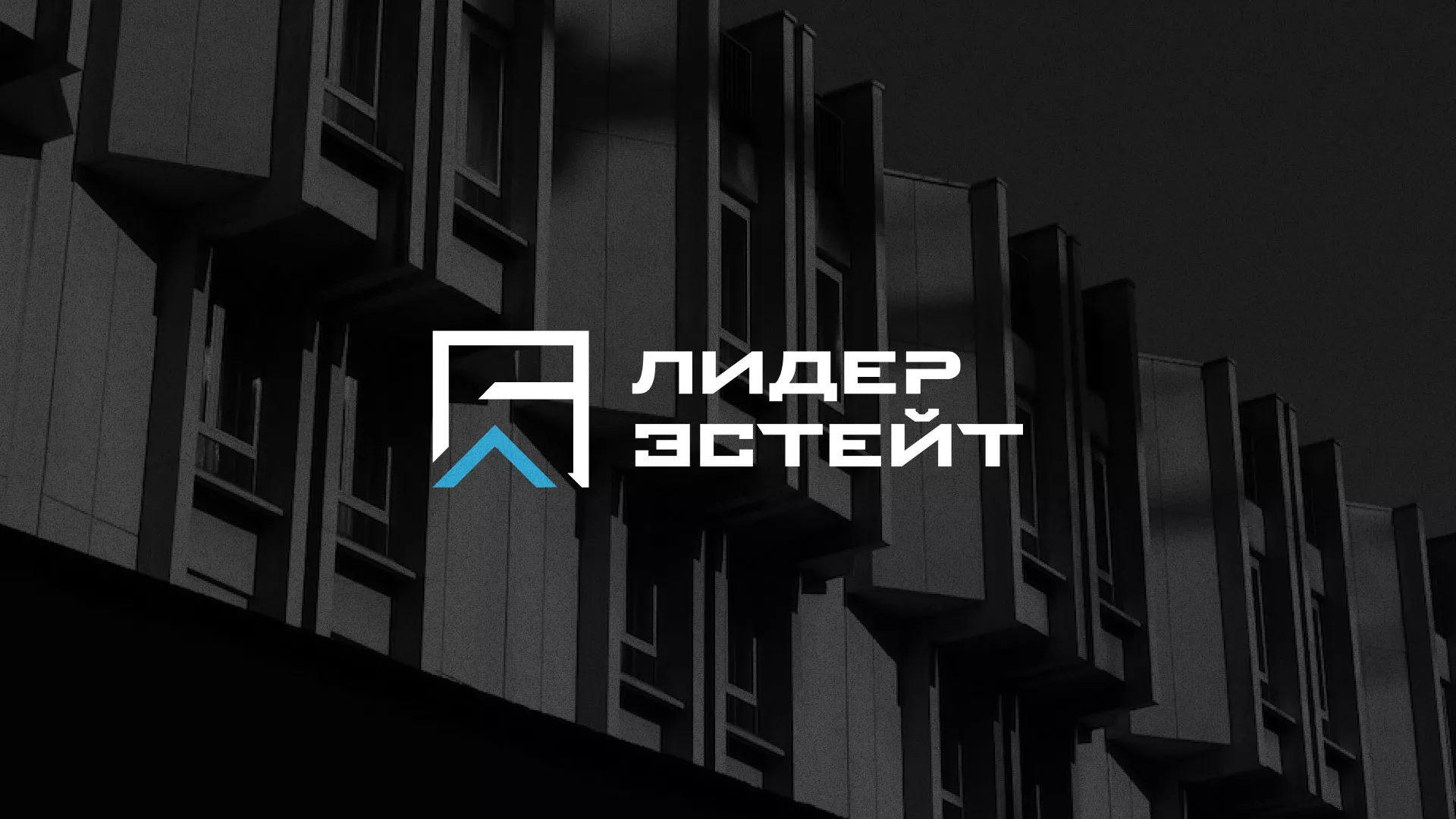 Разработка логотипа агентства недвижимости «Лидер Эстейт» в Жуковском